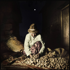 Selection of potatoes with the moon in the background