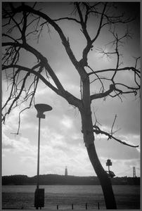 lisbon & agfa billy