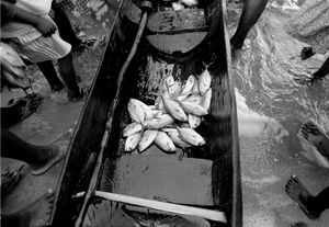 "Sahambava Fishermen" Sahambava 1996