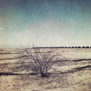 Bombay Beach Train