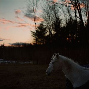 Gilmanton, N.H. © Matt Nighswander