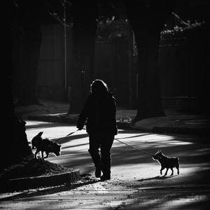 Winter light
