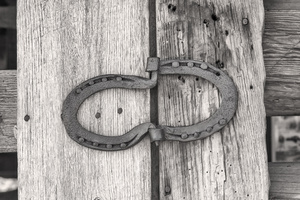 Horseshoe Hinge