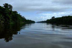 Tortuguero, Costa Rica, 2018