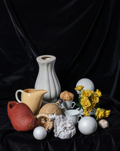 Vanitas Ray's First still life