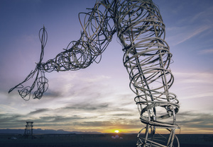 Afrikaburn Festival. South Africa.