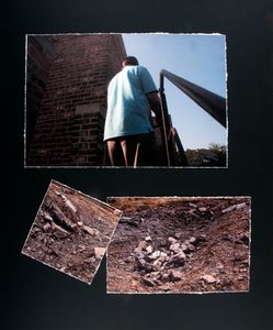 'Z' Keeps Climbing, 2011
