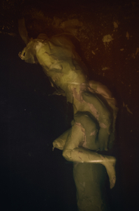 untitled from the series "Waiting for the Awakening"