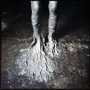 earth-roots