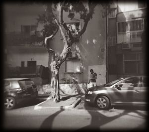 man and dog 1