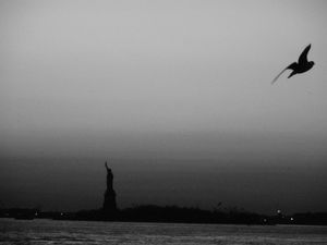 Statue of Liberty and Liberty Bird