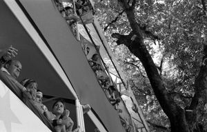 Carnaval de Bahia (11)