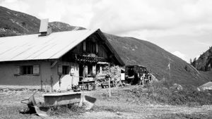 Une histoire de tradition et de transmission n°4