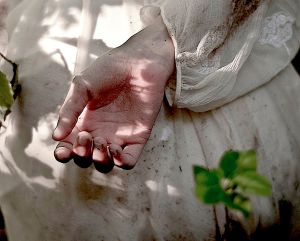 poetry of earth is ceasing never© Cristina Coral