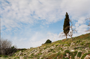 fig.29 Delphi. Landscapes