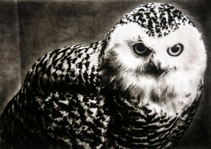 Epitaphs / Silent Stories/ Bubo Scandiacus