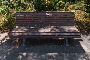 Three brown benches in Volkspark Hasenheide, Berlin, 2011