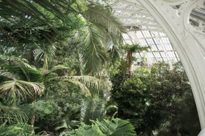 The Temperate House, Kew Royal Botanic Gardens, Richmond, Surrey, U.K. 2012 © Mireille Schellhorn