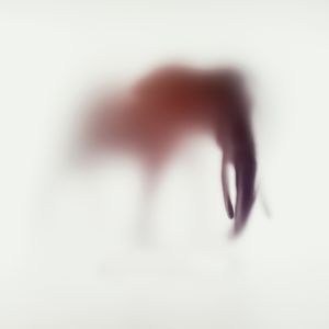 Wildblur-elephant-24.jpg
