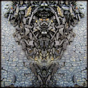 Rock Face (8140