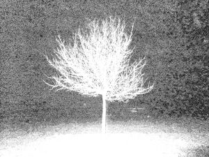 05 - Untitled