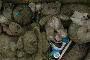 Mossy teddies.