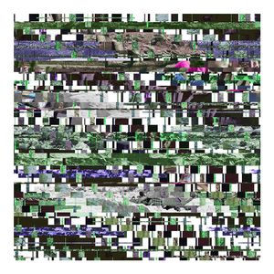 Untitled 9