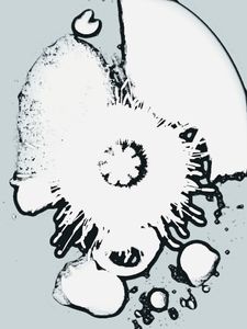 Metamorphosis 84