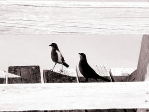 Kure Beach 9