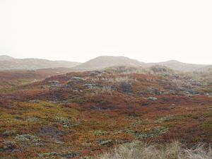 Point Reyes 4