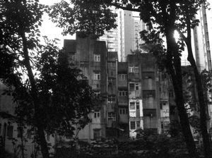"Hong Kong"