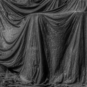 wrapped VIII