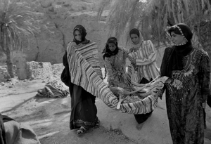 “Bedouin Girls from the Musseina Tribe Gathering Dates in Bir Zreir”