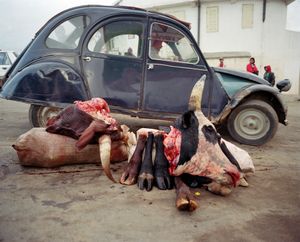 Market Day, Antananarivo 2001