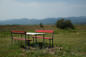 No Picnic