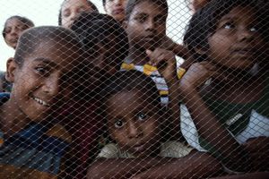 Through the Holes in the Chicken Wire Fence