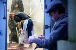 Slaughterhouse On Wheels - 04