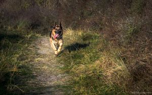 running