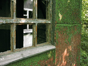 TRACES-TCHERNOBYL