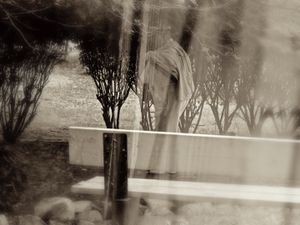 © Mildred Alpern