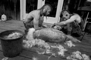Shaving Cheyenne, PawPaw,       Madison County, NC