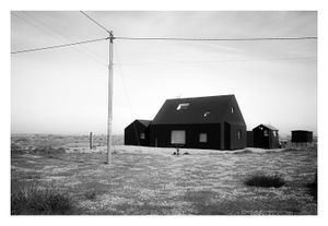 Dungeness #1