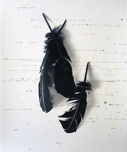 From the Series, Archetypal.  "Raven's Test."
