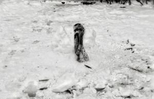 Life of a snowman (3)