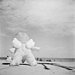 © Marcello Bertesi