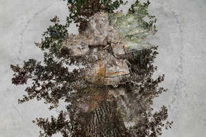 Life of a tree