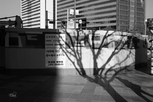Cityscape #19