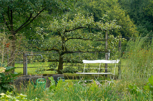 Feature on the historic dutch estate De Wiersse in Vorden for magazine De Tuin Exclusief. Feature in spring, summer and autumn