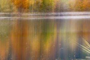 Impressioni d'autunno_04