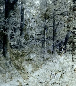 The Natural order-8